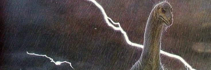 beencertain's profile banner image