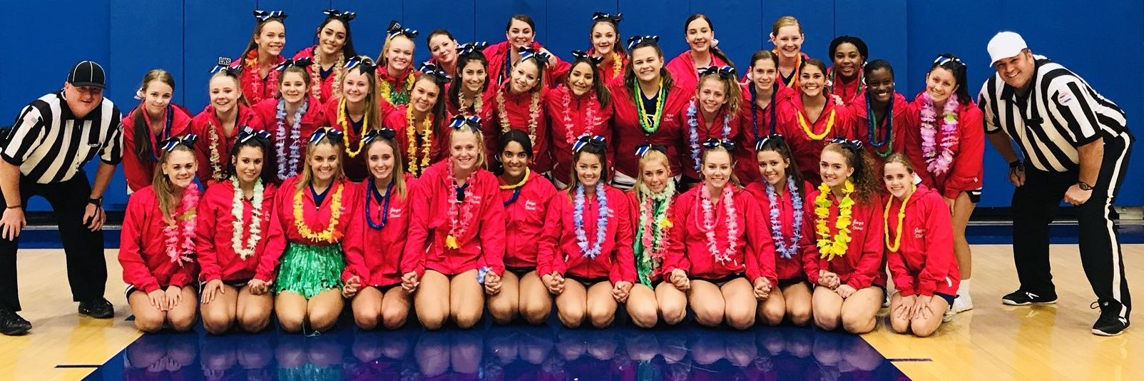 kaley Hamilton banner