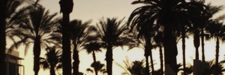 therealtaitum's profile banner image