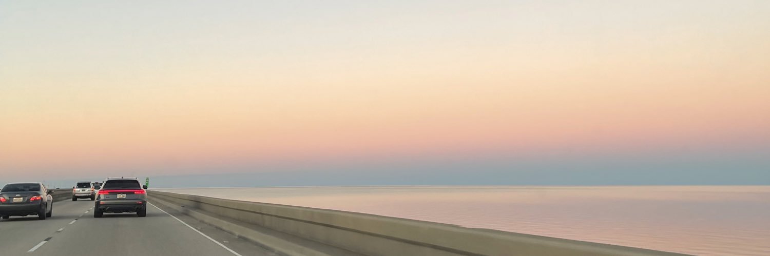 cassidy scherer banner