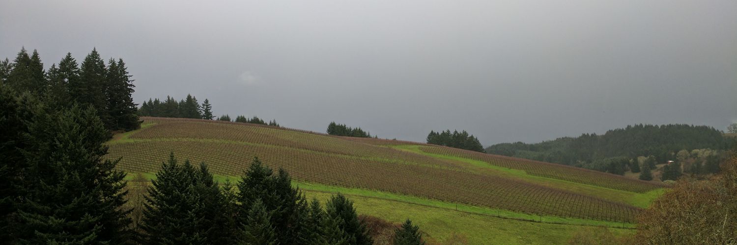NWUnCorked's profile banner image
