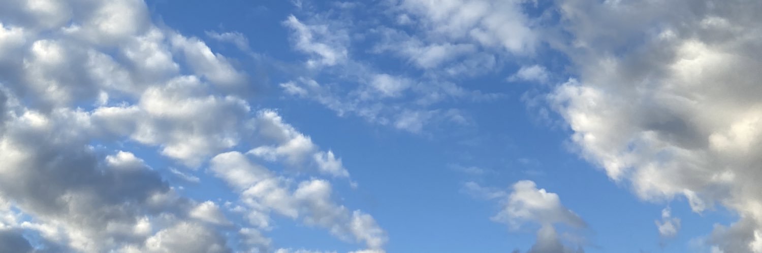 Noelithicus's profile banner image