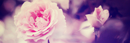 jillmount2's profile banner image