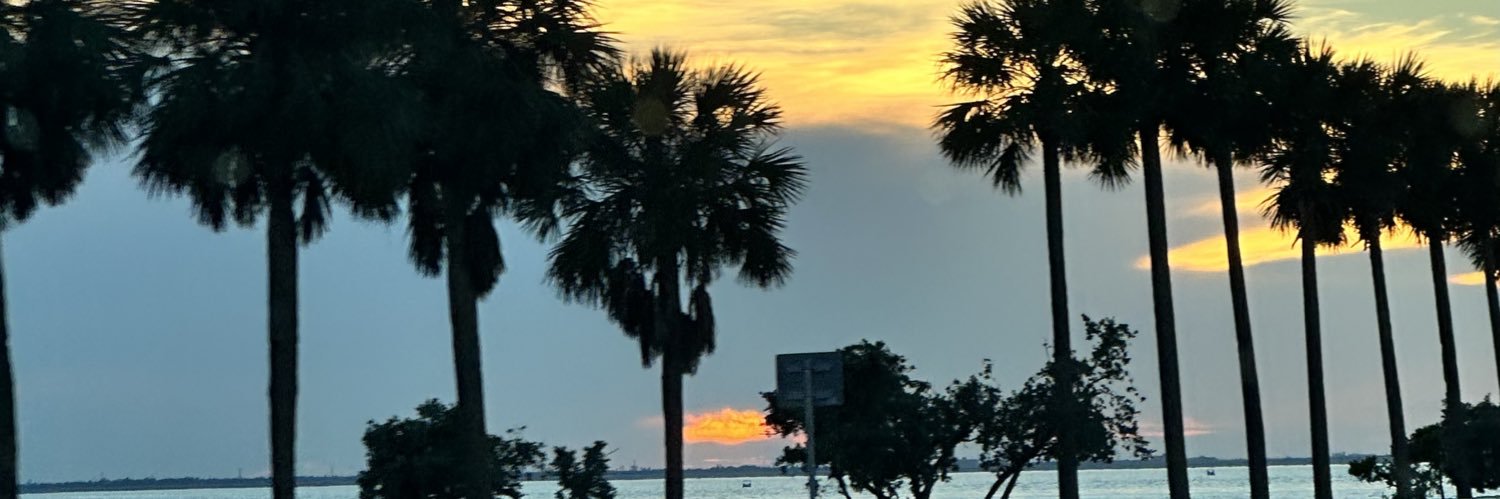 lisa_saliano's profile banner image
