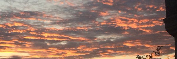 AdriaQuinones Profile Banner