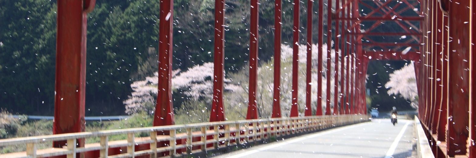 だいすけ🥀SSTR2026 banner