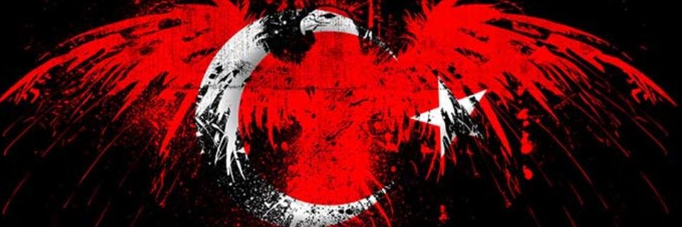 1casmin's profile banner image