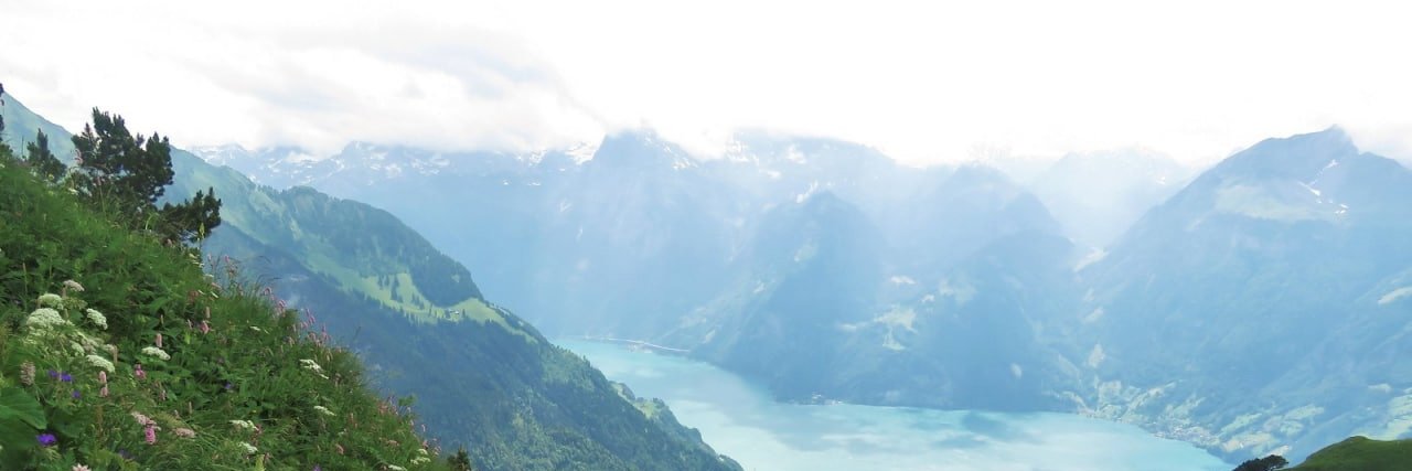 Yopez the master ❤️ Memecoin banner