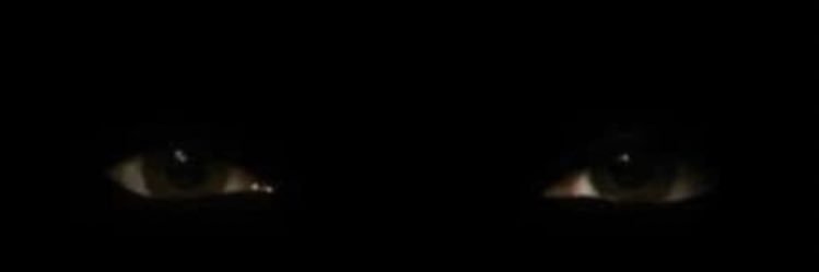 axellwolf__'s profile banner image