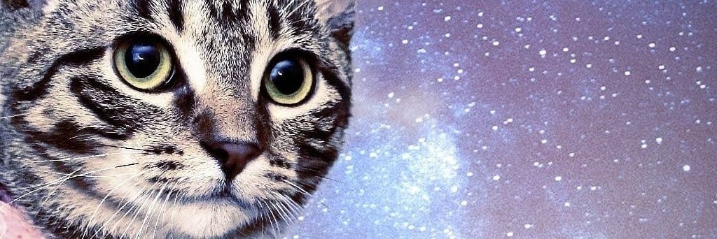 gfizzyy's profile banner image