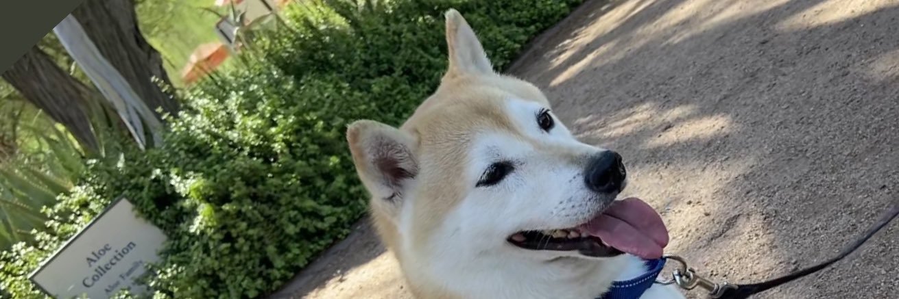 Dogenaire69420 banner