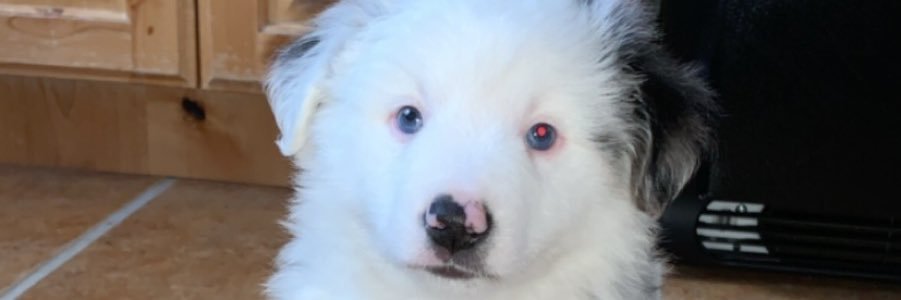 Brebabes42's profile banner image