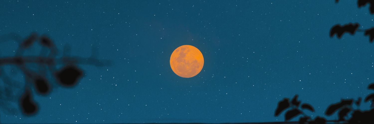 dreamicheli's profile banner image
