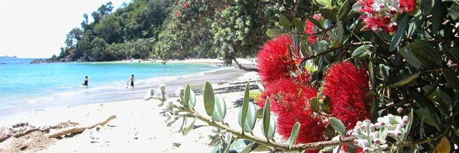 Sian_IFSANZ's profile banner image