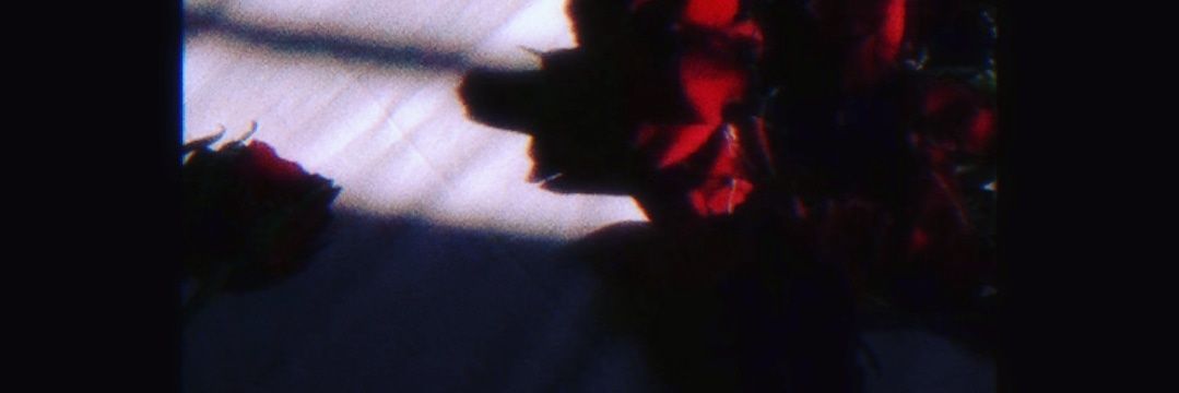 mishellmoree's profile banner image