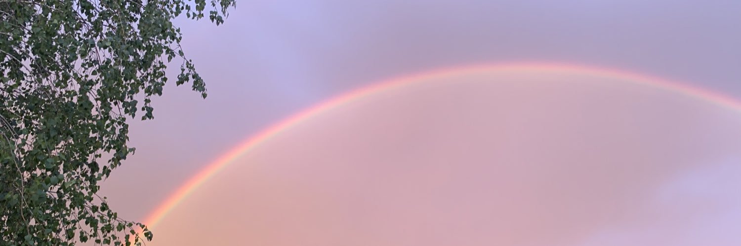 kazelenski's profile banner image