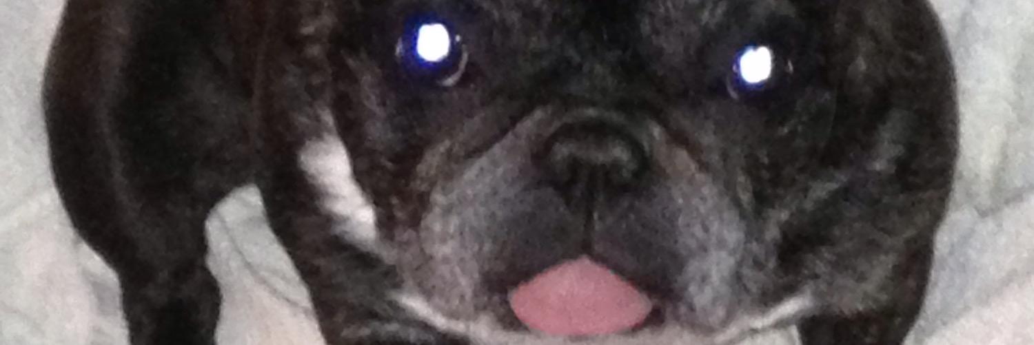 jeff_smash's profile banner image
