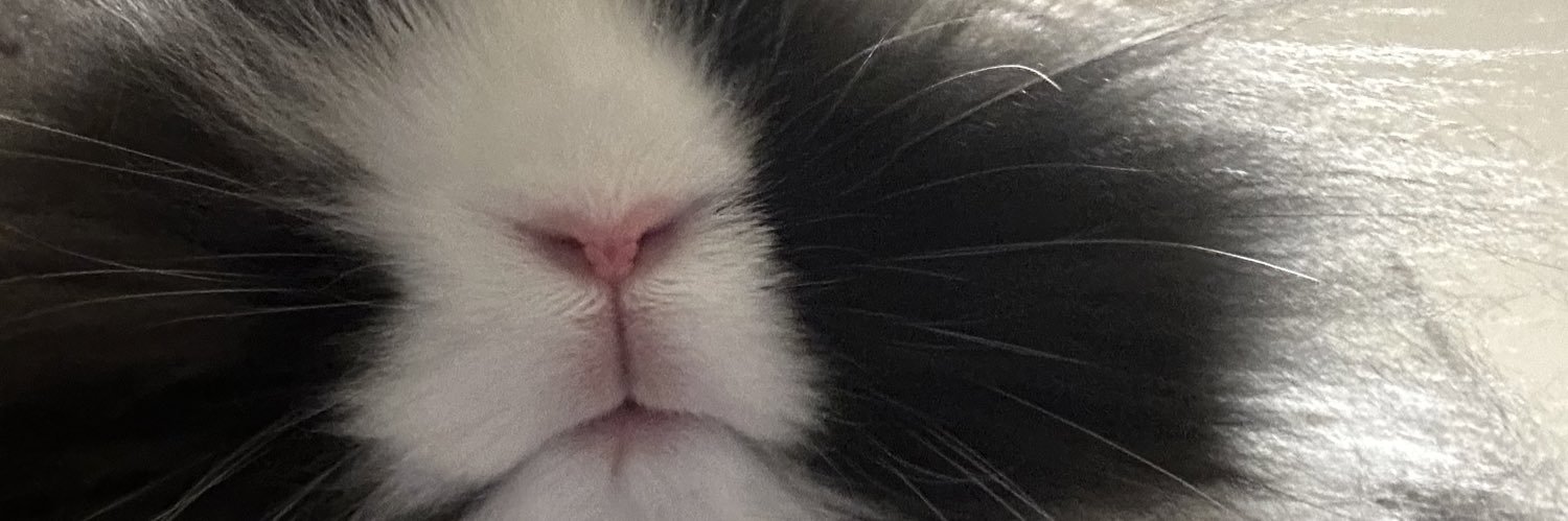 laawwwa's profile banner image