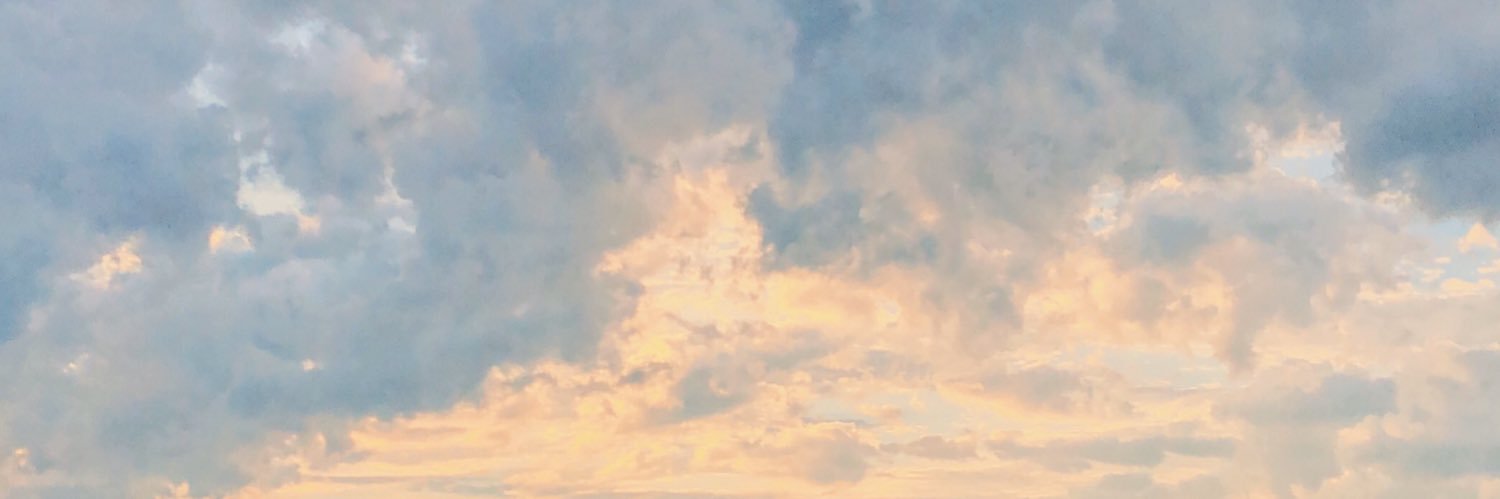 Rachel__Mae__'s profile banner image