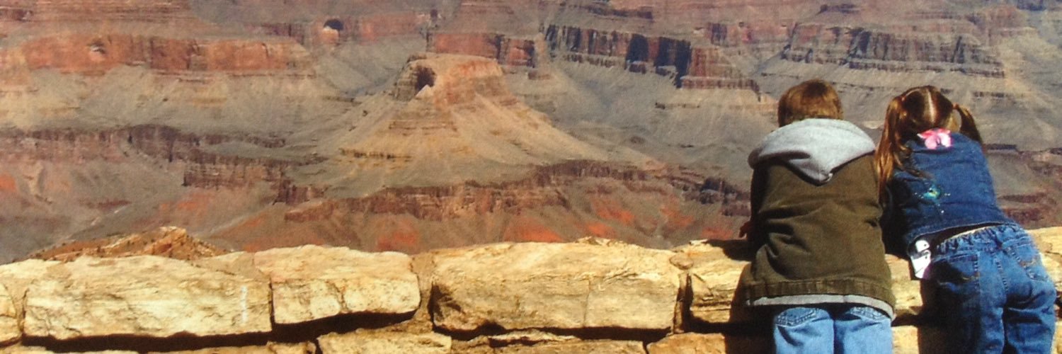 i put the bee in imbeecile banner