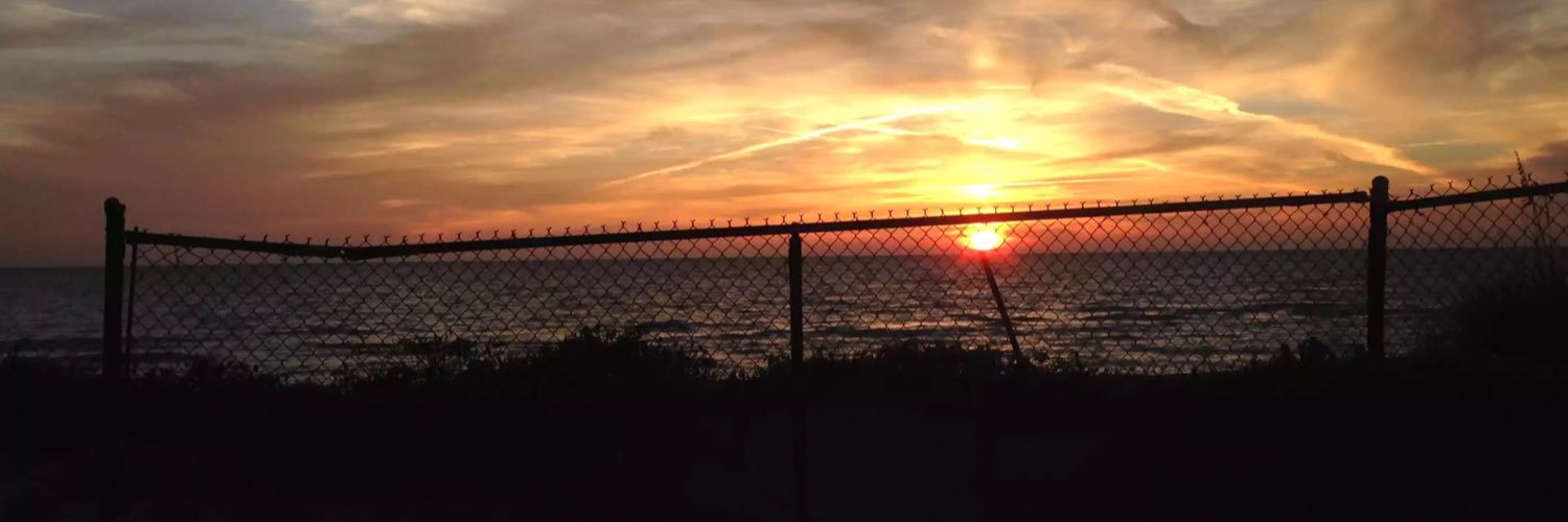 ella_schaffner's profile banner image