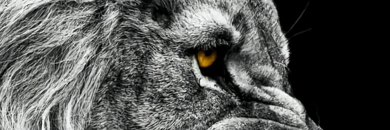 opplyste's profile banner image