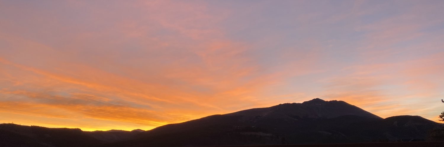 annaharvey23's profile banner image