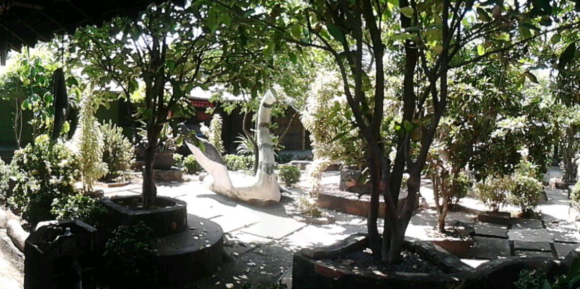 hanik_devi's profile banner image