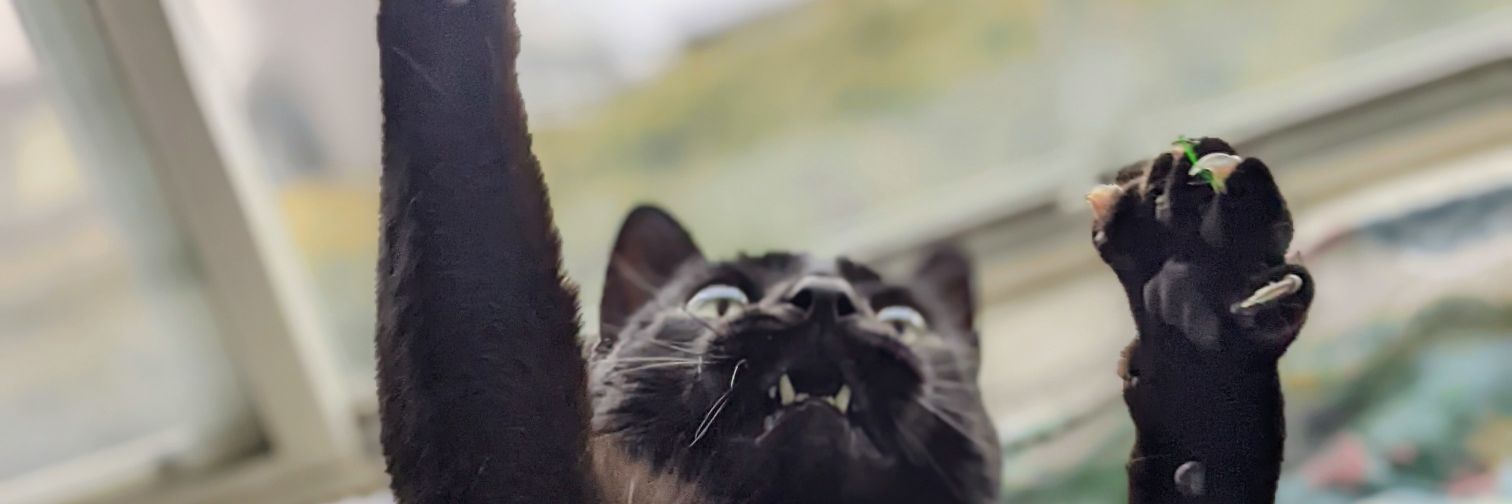 dilonbryan's profile banner image