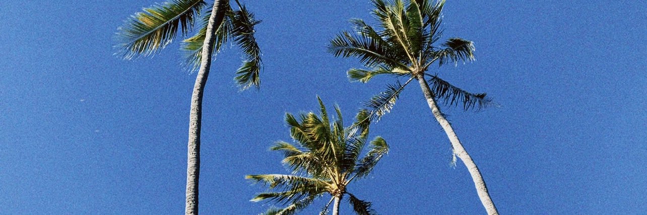 haileyxtaitano's profile banner image