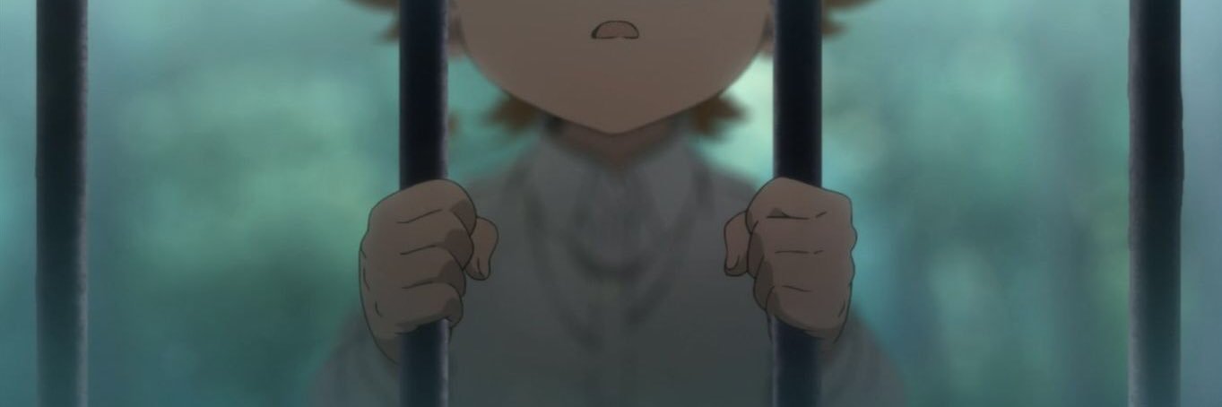 ninelupa's profile banner image