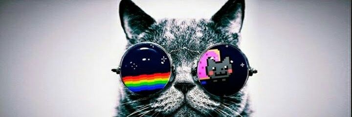 LilGhostHM's profile banner image