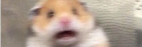 unkle_dad's profile banner image