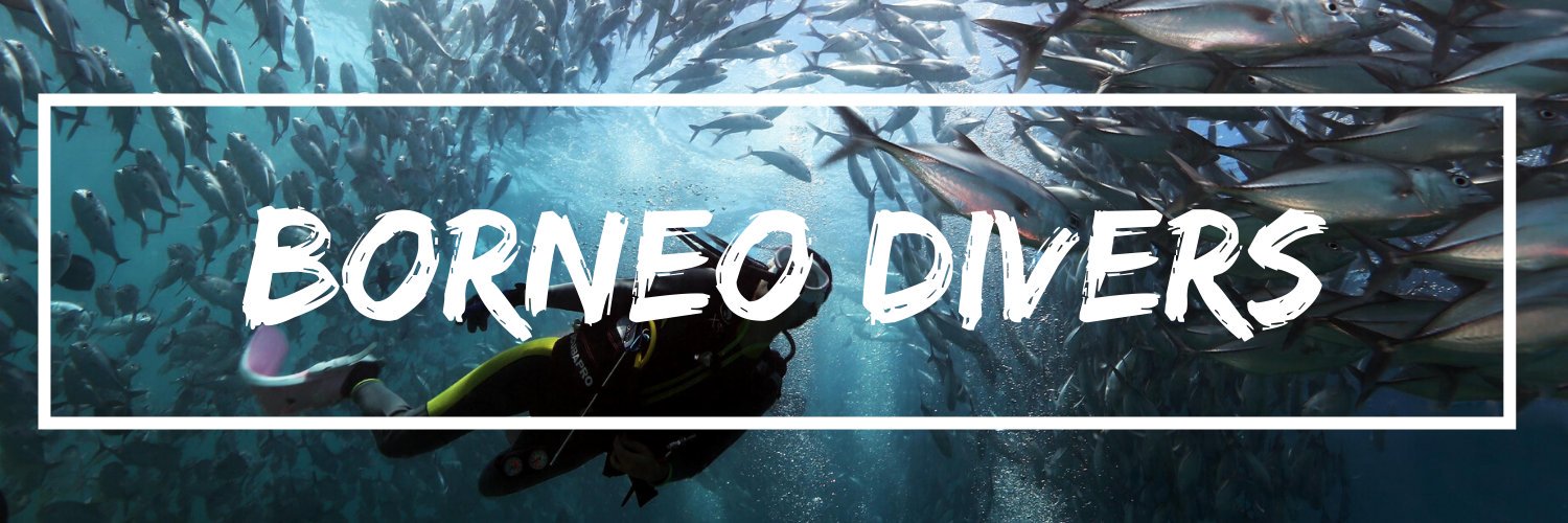 Borneo_Divers's profile banner image