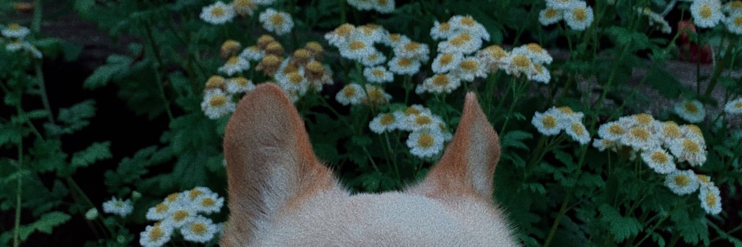 sonyapizza's profile banner image