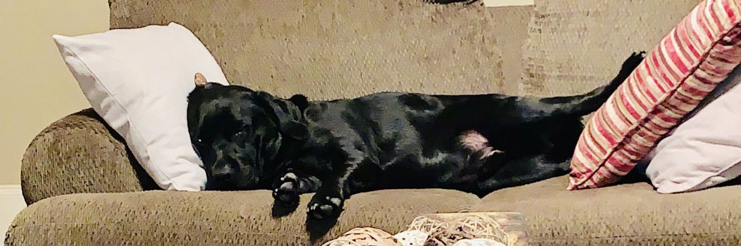 Brenden Cormier banner