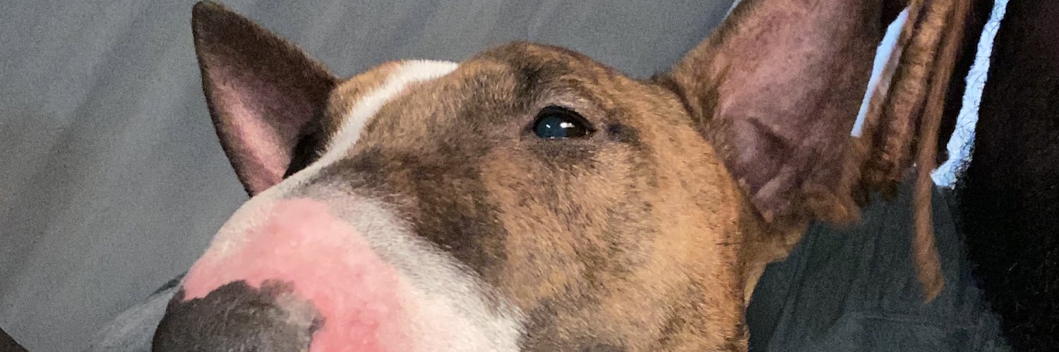 Demetrius_K_'s profile banner image
