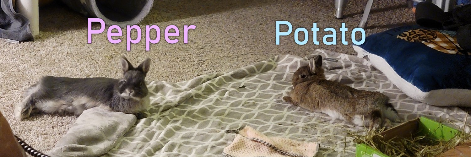 Hello_Its_Max's profile banner image
