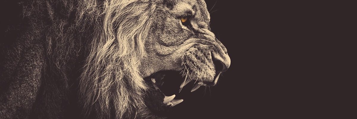 fsbaiz1's profile banner image