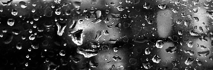 AVeljanoski's profile banner image