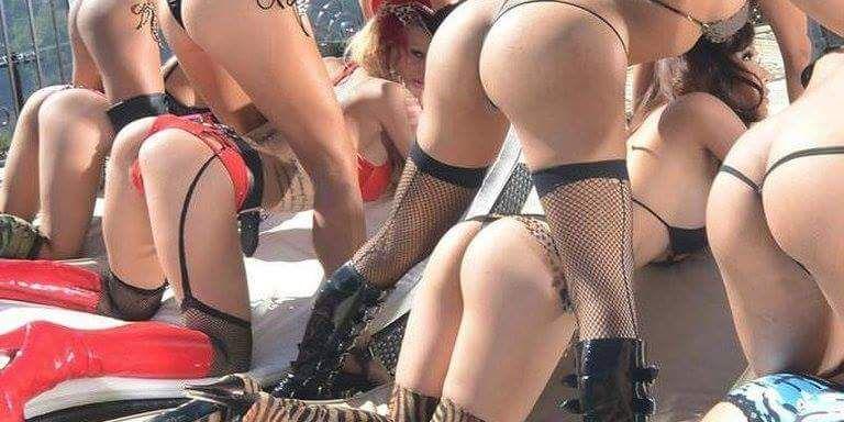 Curtits Snyder banner