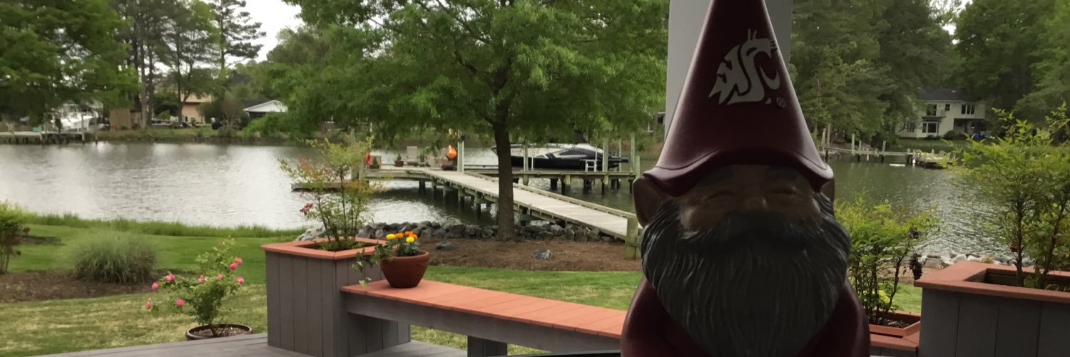 virginiabri's profile banner image