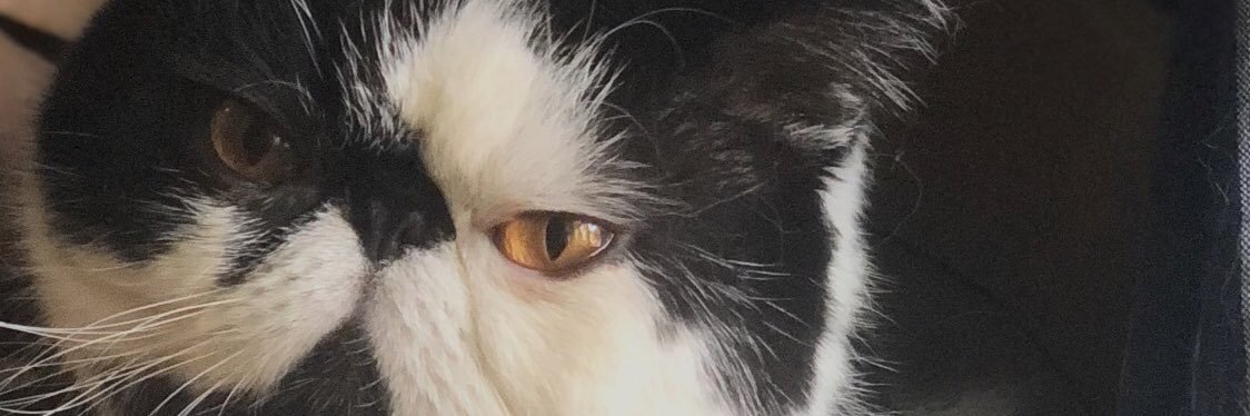 itsjohncotton's profile banner image