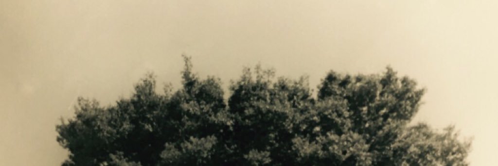 longterm_memory's profile banner image