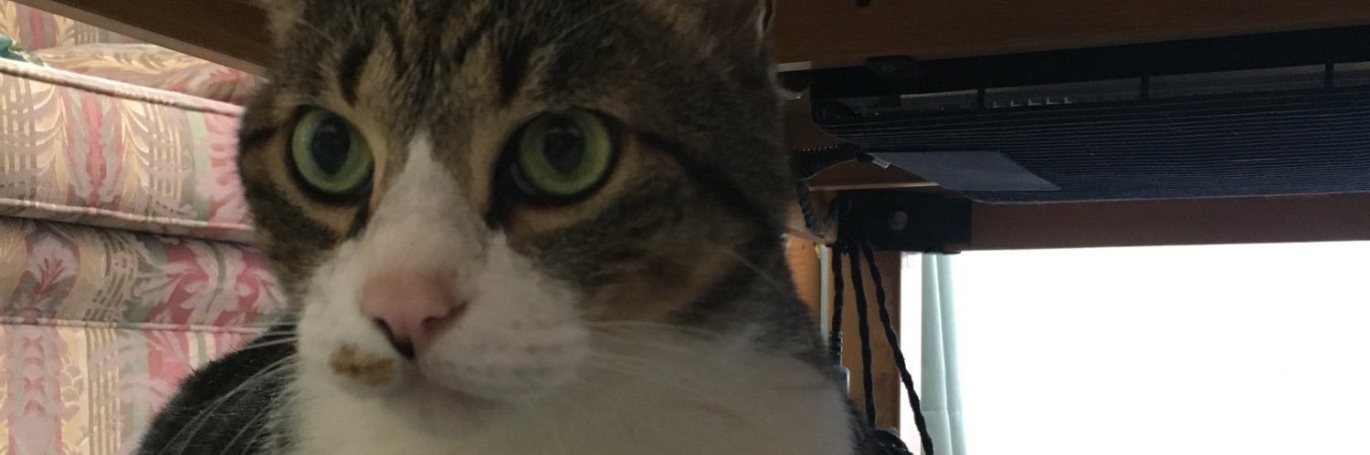 sleepingtono's profile banner image
