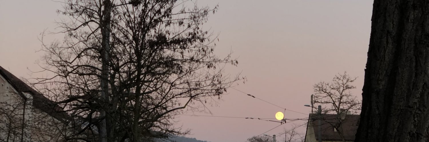 binaererkompott's profile banner image
