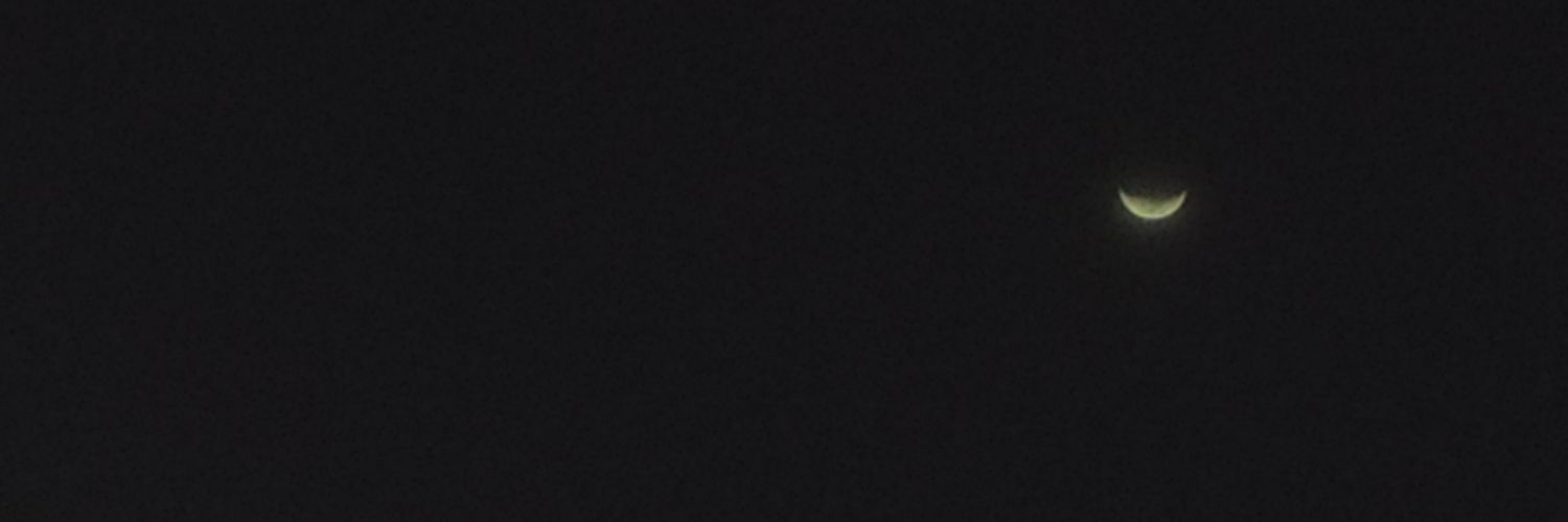 bayaninruth's profile banner image