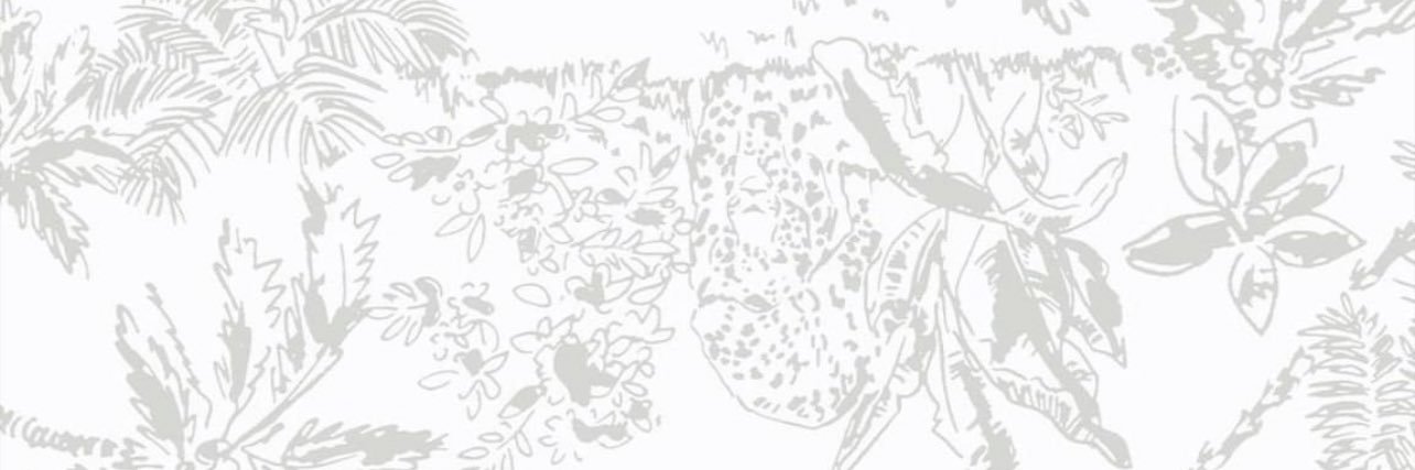 untangled_vines's profile banner image