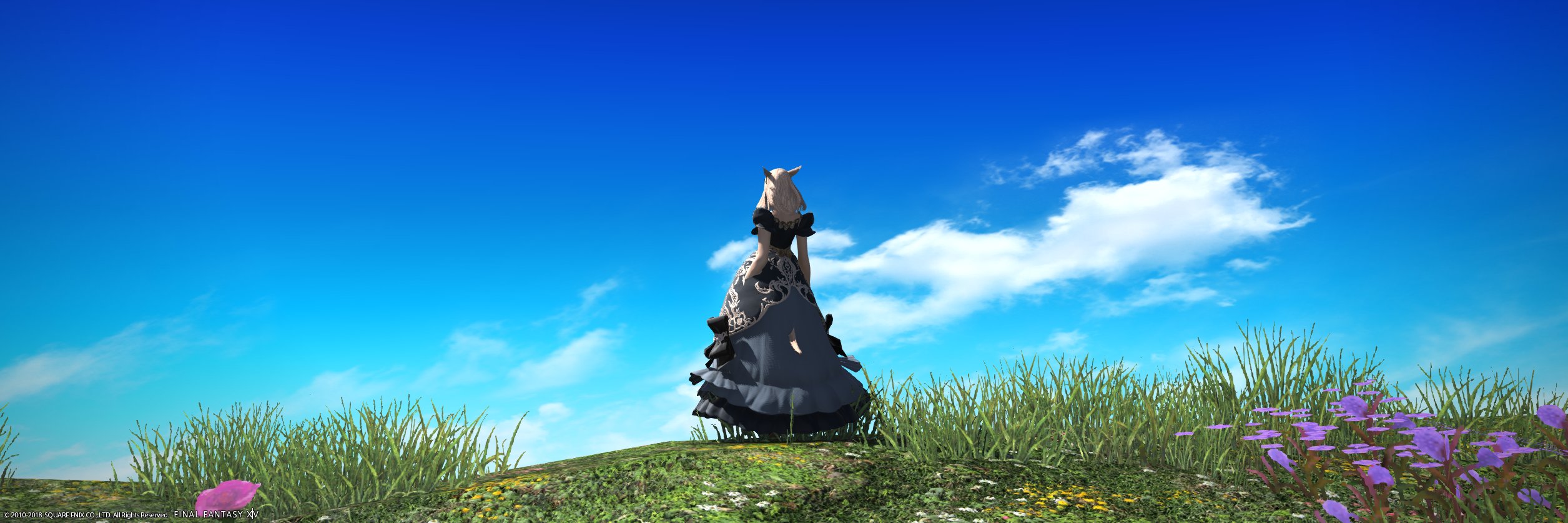 Nico__Rose's profile banner image