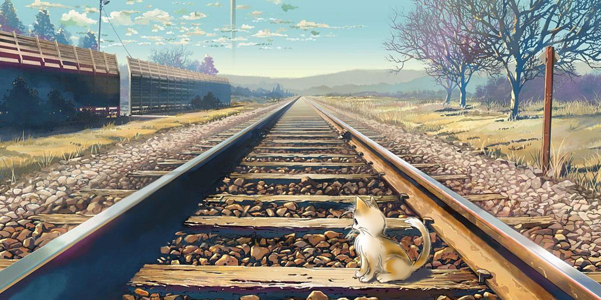 RuiParia's profile banner image
